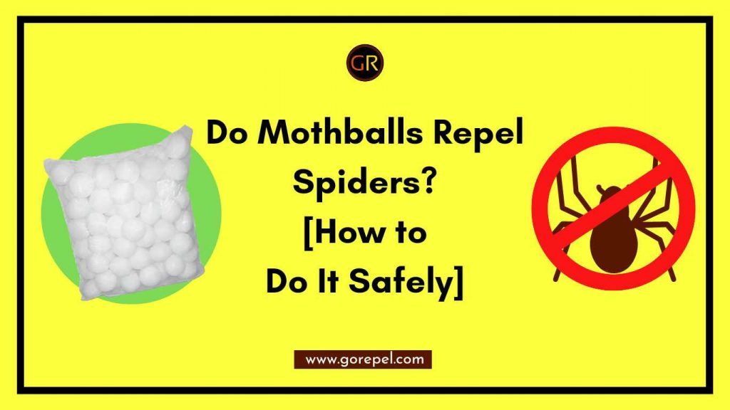 do-moth-balls-repel-spiders-how-to-keep-spiders-away-with-mothballs