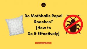 do mothballs deter armadillos