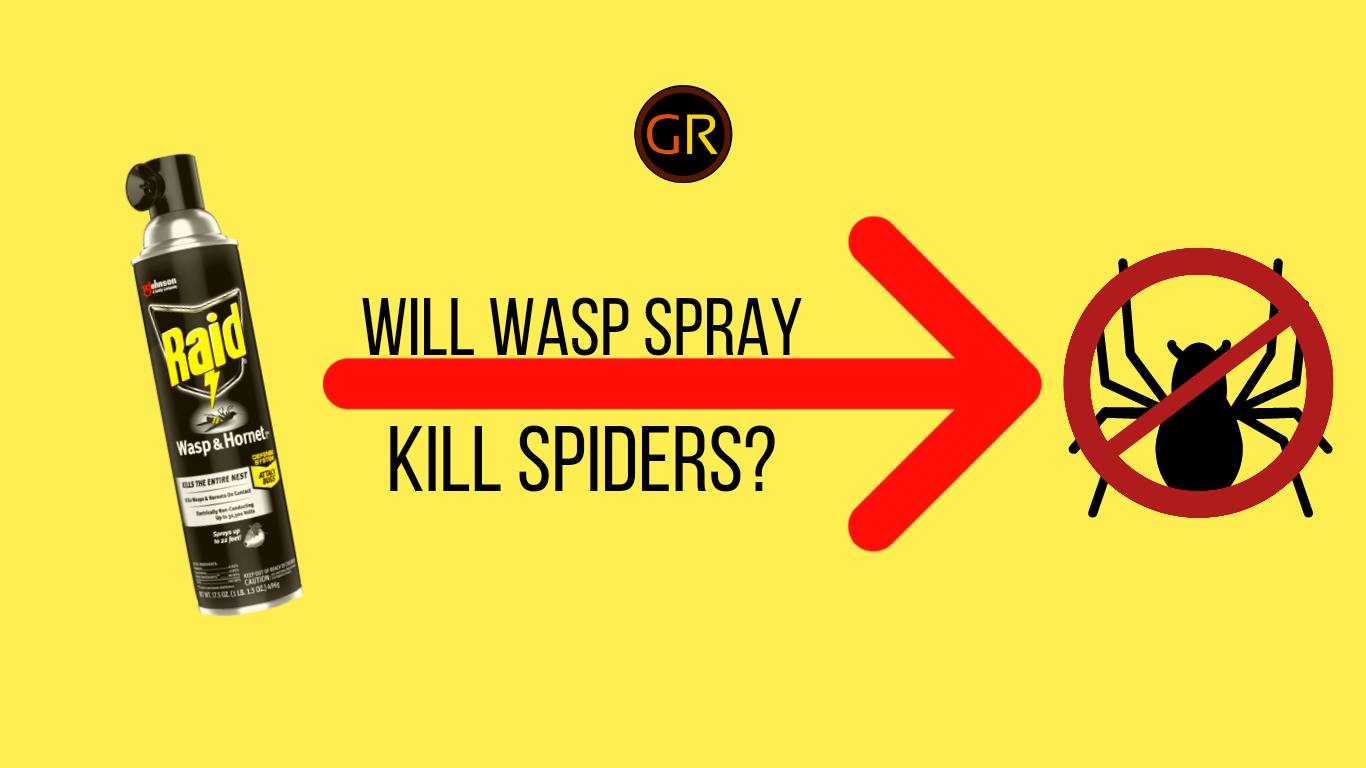 will-wasp-spray-kill-spiders-effective-ways-to-get-rid-of-spiders