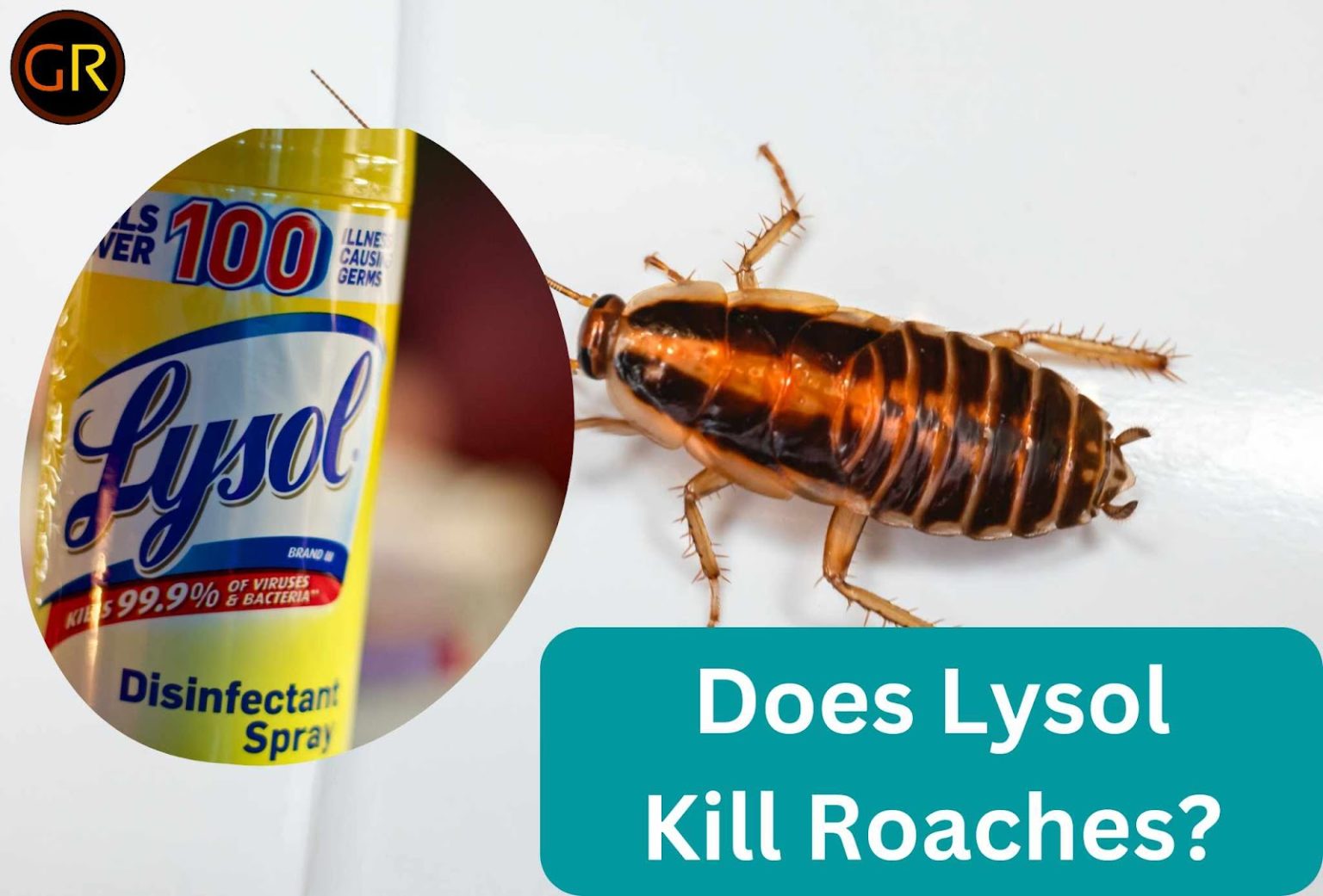 does-lysol-kill-roaches-how-effective-is-it
