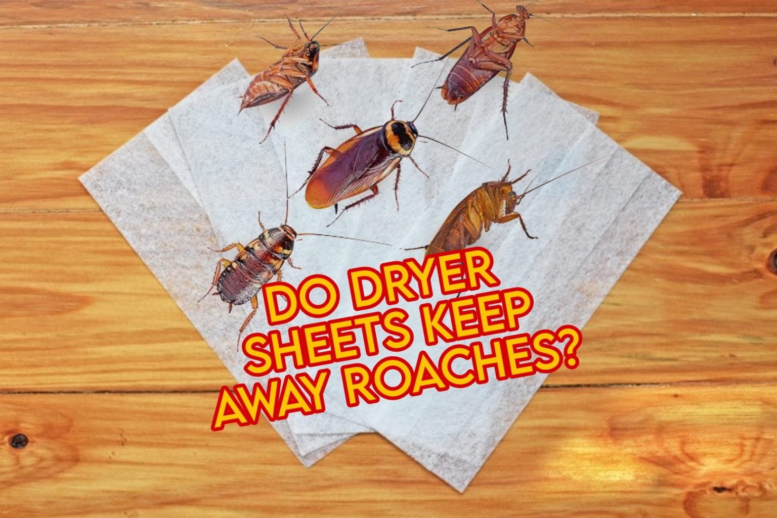 Do Dryer Sheets Keep Roaches Away or Kill Them?