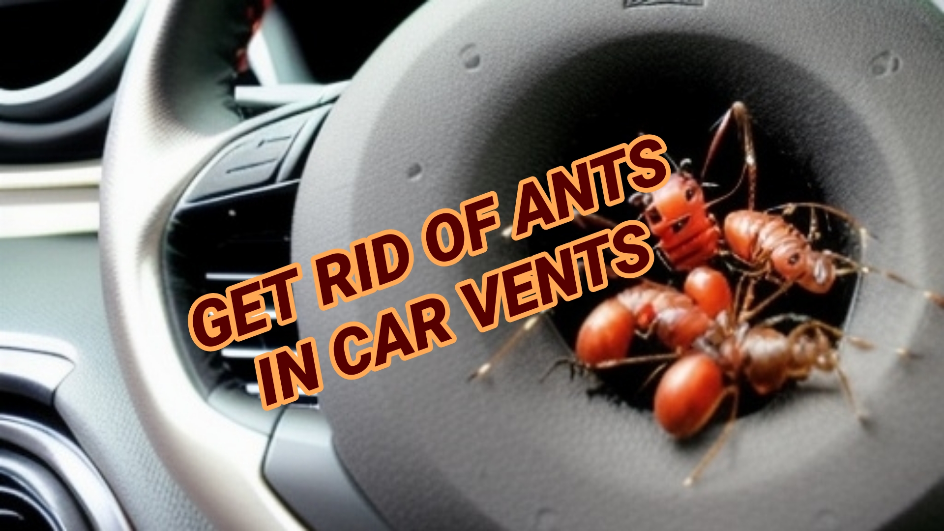 How To Get Rid Of Ants In Car Vents Permanently?